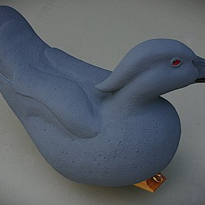 IMGP0990.JPG
