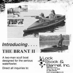 The Brant II.png