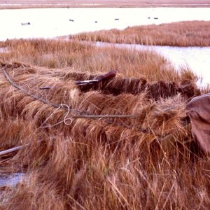 sm SJS Grassboat - Seganus Thatch early 80s.JPG