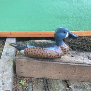 IMG_4710.jpeg