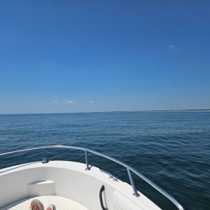 IMG_20250726_132221.jpg