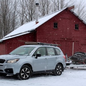 On trailer with Forester.JPG