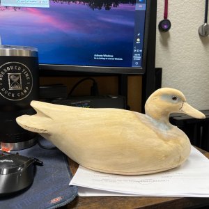 IMG_6631.jpeg