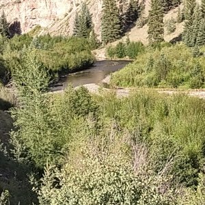 IMG_20250818_175614784.jpg
