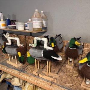 IMG_4544.jpeg