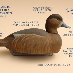 sm Redhead Hen with BEHR PAINTS.JPG