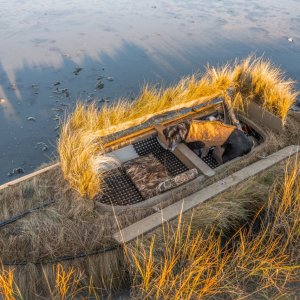 IslandOutdoorsMediaTM-18.jpg