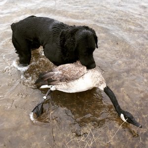 IMG_0442.jpeg