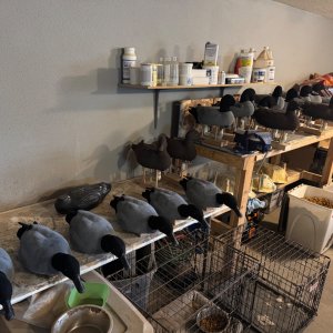 IMG_4502.jpeg