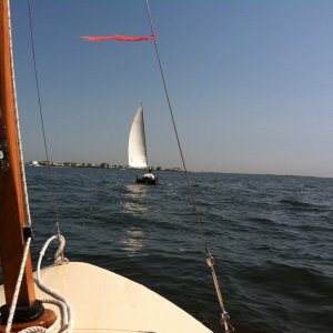 IMG_2063.jpeg