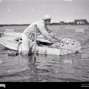 sneakboxClamming.jpg