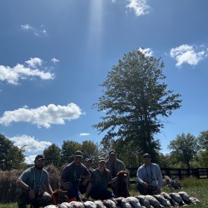 IMG_0582.jpeg