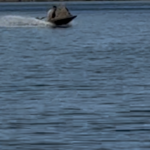 IMG_7759.png
