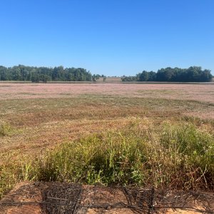 pit north view 2025.jpg