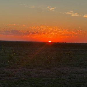 IMG_4643.jpg