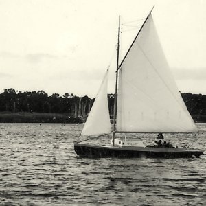 C2 - SJS at helm of Willet mouth of Carmans R 1992.jpg