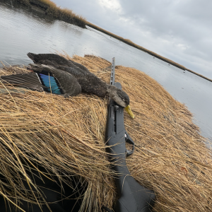 Screenshot 2025-10-12 at 9.57.04 AM.png