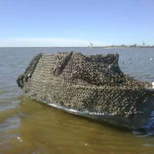 IMG00851-20120113-1006.jpg