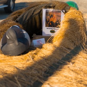 Island Outdoors Media TM-4.jpg