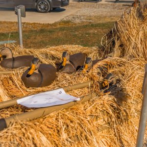 Island Outdoors Media TM-87.jpg