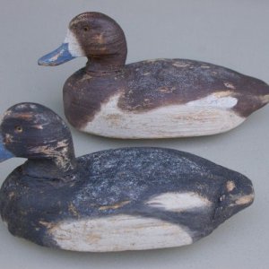 Bozbills 015 (600 x 399) - Copy.jpg