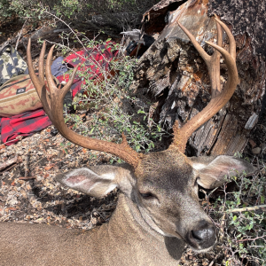 Screenshot 2025-11-17 at 9.09.12 AM.png