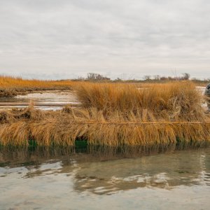 Island Outdoors Media TM-101.jpg