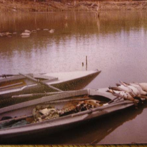 Nellist doubld 2 boats.png