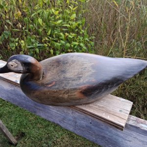 3  Wildfowler Pintail - sealed, new eyes.jpg
