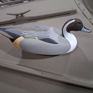 4 sm Wildfowler Pintail - Tierney - DONE on foredeck.jpg