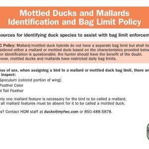 mottled-mallard-hybrid-field-guide.pdf_Page_1.jpg