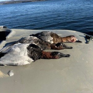 OPENING DAY 2025 - Copy.jpg