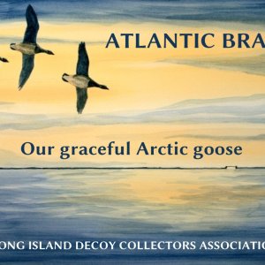Sunrise Brant  BANNER with TITLES.jpg