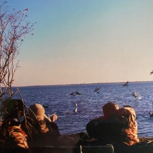 Media 'IMG_2120.jpg' in category 'Duck Boat/Hunting Forum Media'