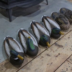 sm Wave Rider 6 backs.JPG