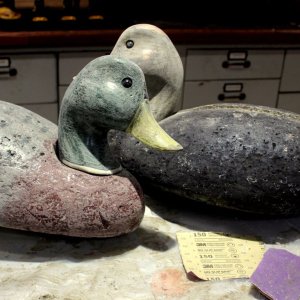 sm Wave Riders - scuff sanded.JPG