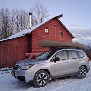 1 sm Sweet Gherkin on JackieBaru.jpg