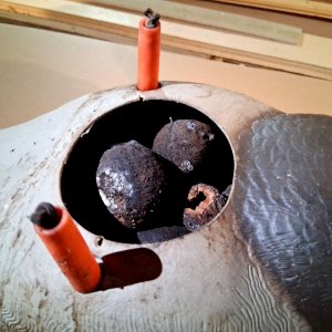 6 sm Mallard with Walnuts - B CLOSEUP.jpg