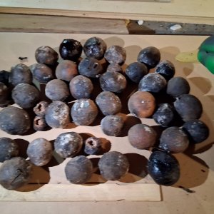 7 sm Walnuts liberated - 37.jpg