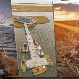 Screenshot 2026-01-13 at 11.26.14 PM.png