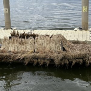 DI13 - Side High.JPEG