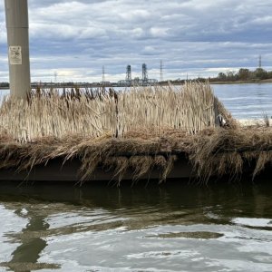 DI13 - Side low.JPEG