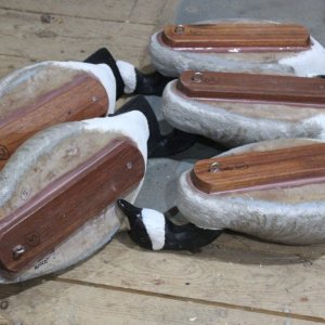 sm Model 81 Canadas - SJS heads and flat keels - bottoms up.JPG