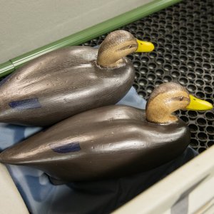 Island Outdoors Media TM-63.jpg