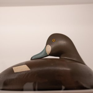 20251024-CES04320 (2).jpg