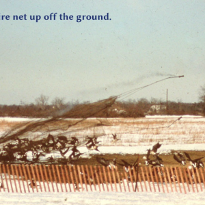 Screenshot 2026-02-16 at 10.54.20 PM.png