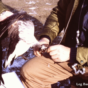 Screenshot 2026-02-16 at 10.54.38 PM.png