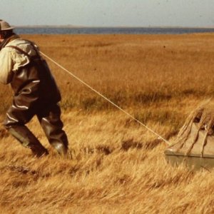 sm Fishman dragging Coffin WIDE.jpg