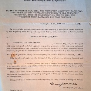 3 sm Letter re Live Decoys 2.jpg