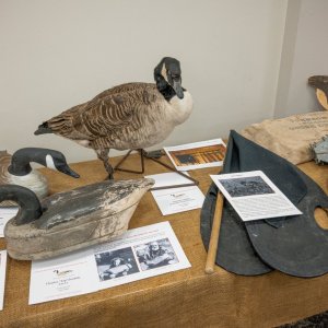 Island Outdoors Media TM-48.jpg